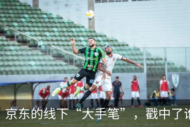 京东的线下“大手笔”，戳中了谁的嗨点？