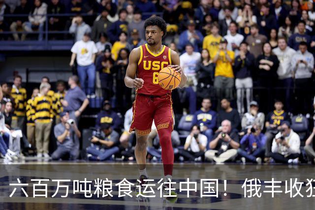 六百万吨粮食运往中国！俄丰收狂销刷出新纪录，我们在依赖它吗？