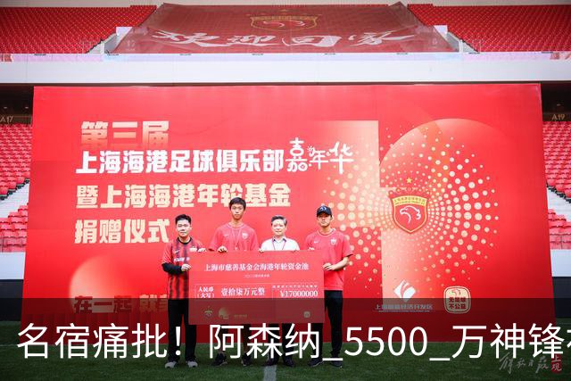 名宿痛批！阿森纳 5500 万神锋被彻底用废！阿尔特塔离谱毁人