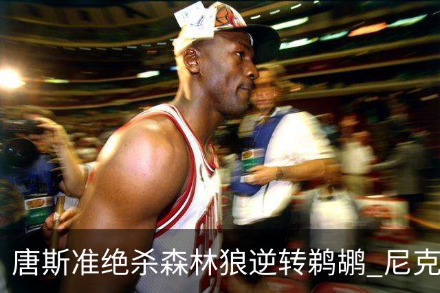 唐斯准绝杀森林狼逆转鹈鹕 尼克斯送黄蜂4连败
