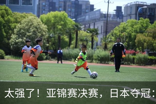 太强了！亚锦赛决赛，日本夺冠：松岛辉空-张本美和3-2黄友政-陈熠