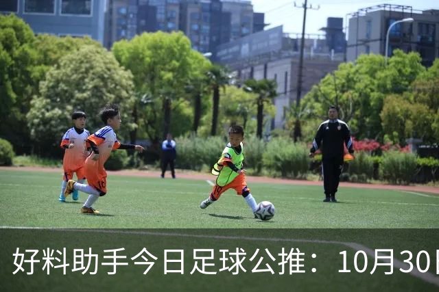 好料助手今日足球公推：10月30日 8点30巴西甲 格雷米奥VS巴拉纳竞技
