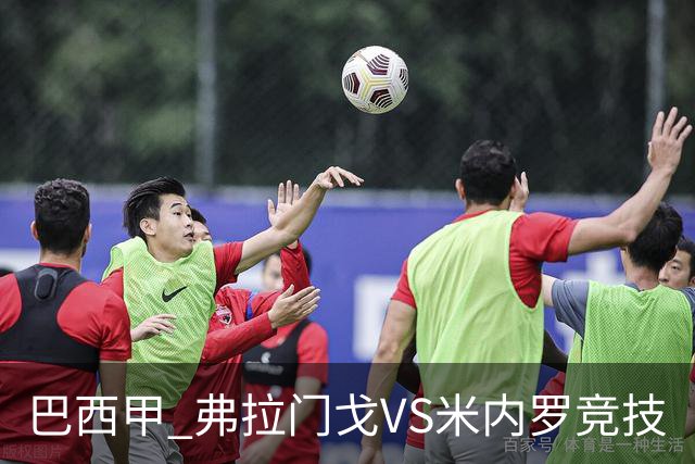 巴西甲 弗拉门戈VS米内罗竞技