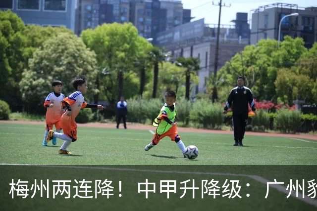 梅州两连降！中甲升降级：广州豹、南通支云冲超，梅州与佛山降级