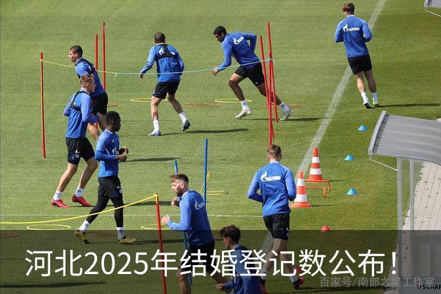 河北2025年结婚登记数公布！
