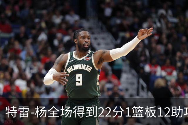 特雷-杨全场得到22分1篮板12助攻1抢断