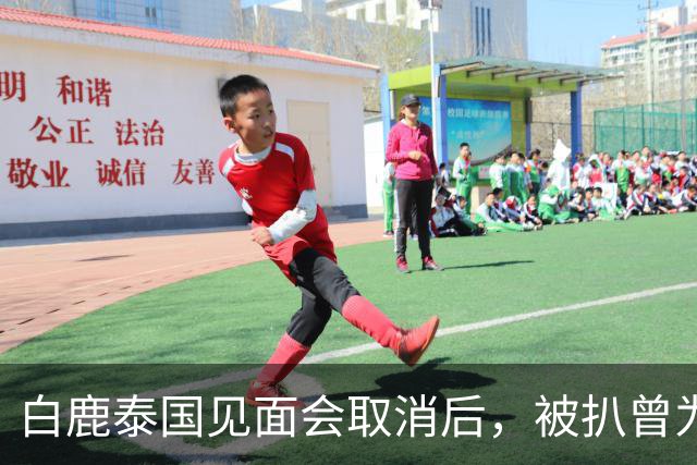 白鹿泰国见面会取消后，被扒曾为缅北拍宣传片，知情人爆更多内幕