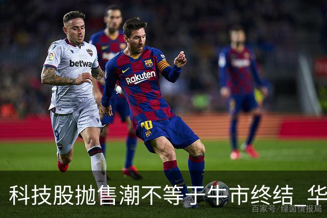 科技股抛售潮不等于牛市终结 华尔街策略师：基本面依然强劲 回调或是买入良机