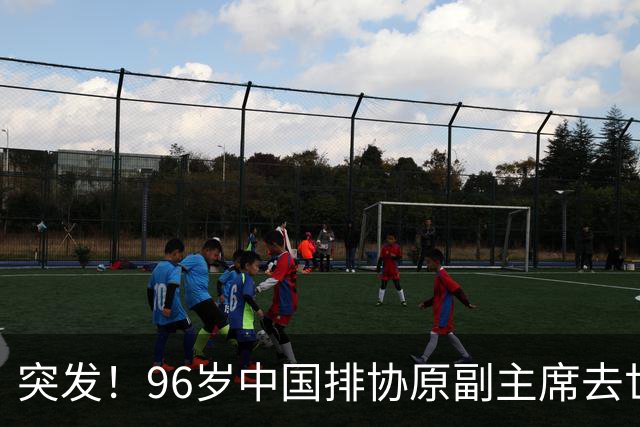 突发！96岁中国排协原副主席去世，曾公开批评郎平