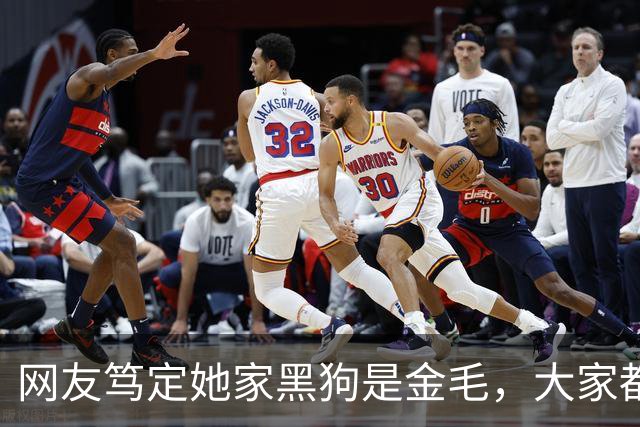 网友笃定她家黑狗是金毛，大家都不信，直到她晒出这张照片……没毛病，是金毛！