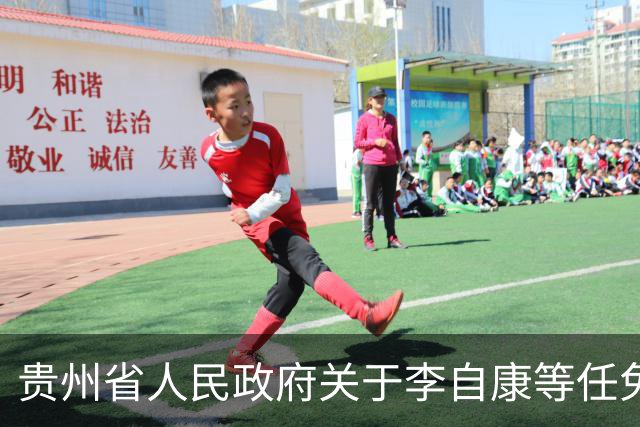 贵州省人民政府关于李自康等任免职的通知
