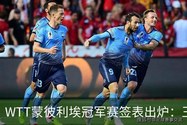 WTT蒙彼利埃冠军赛签表出炉：王曼昱首轮对阵汉娜·高达，孙颖莎对阵卢茨，林诗栋将战林钟勋